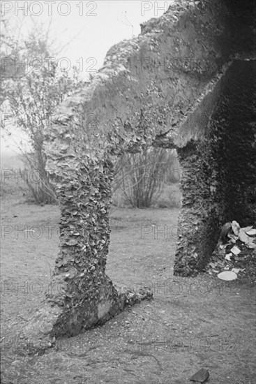 Tabby construction. Ruins of supposed Spanish mission, St. Marys, Georgia.