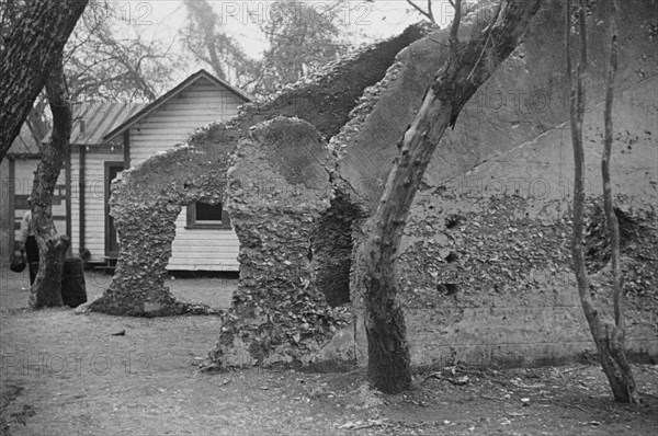 Ruins of supposed Spanish mission. Tabby construction. St. Marys, Georgia.