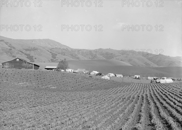 Ranch camp for pea pickers. Near Milpitas, Santa Clara County, California.