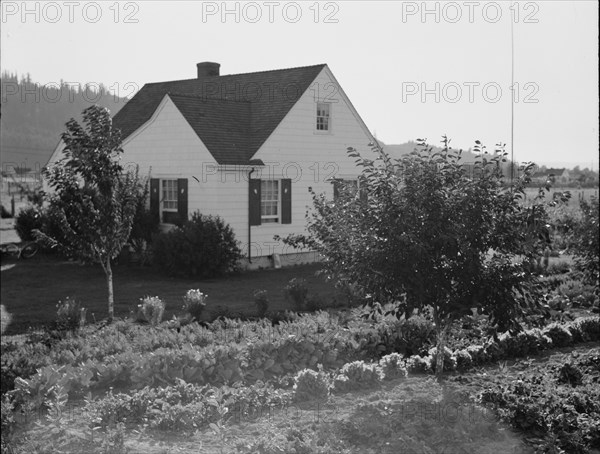 Washington, Cowlitz County, Longview. Home on Longview homestead project.