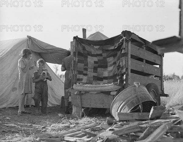 Camp of pickers during bean harvest. Oregon, Marion County, West Stayton.