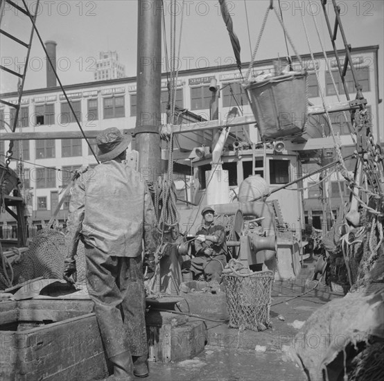 New York, New York. A hoister unloading fish at the Fulton fish market.