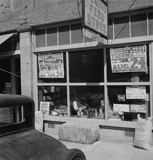 Western Washington, Thurston County, Tenino. Feed store opposite bank.