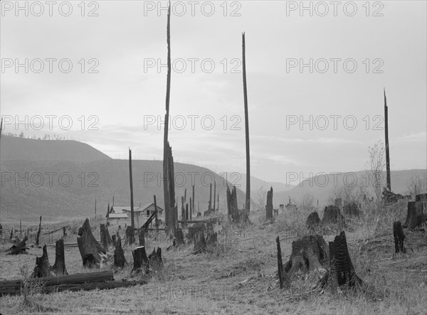 View of the Halley farm. Priest River Peninsula. Bonner County, Idaho.