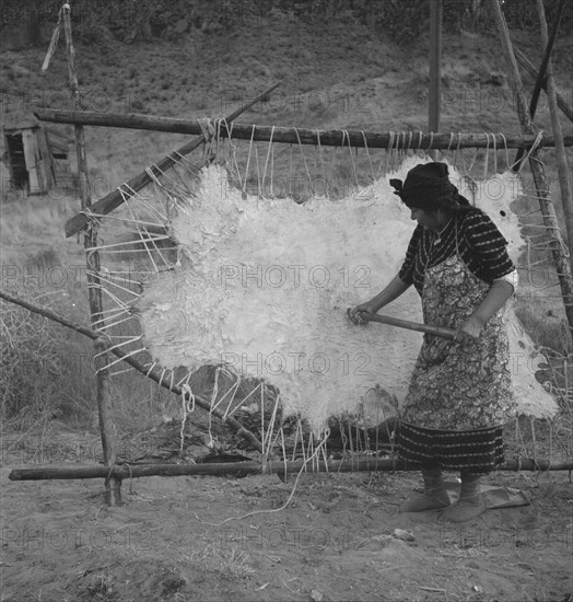 Method of scraping hide for softening. Indian fishing village. Oregon.