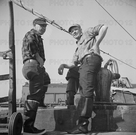 New York, New York. New England fishermen resting on the Fulton docks.