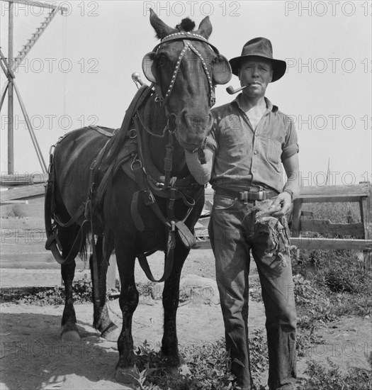 Hired man on the Myers farm. Near Outlook, Yakima County, Washington.