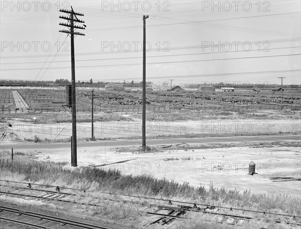 Between Tulare and Fresno. Stockyards seen from overpass. California.