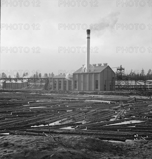 The new Gilchrist mill, open a week. Lumber mill. Gilchrist, Oregon.