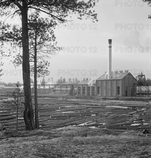 The new Gilchrist mill, open a week. Lumber mill. Gilchrist, Oregon.