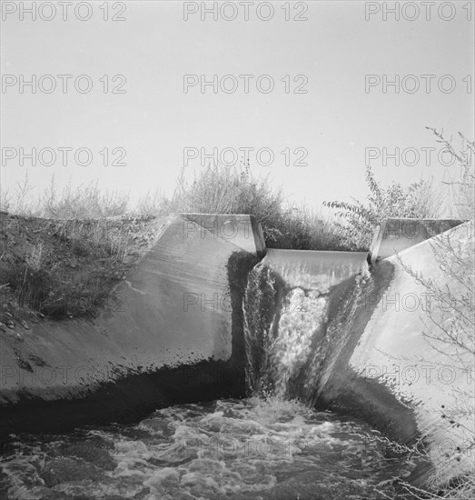 Irrigation canal seven miles west of Nyssa, Malheur County, Oregon.