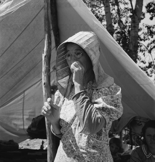 Migratory woman, originally from Texas. Yakima Valley, Washington.