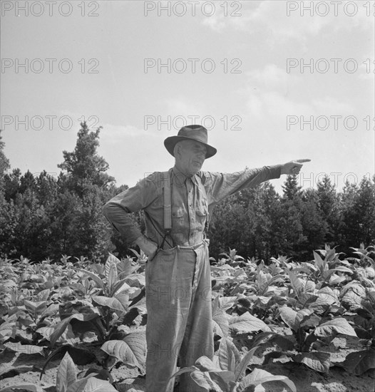 Tobacco farmer, owner of 100 acres. Person County, North Carolina.