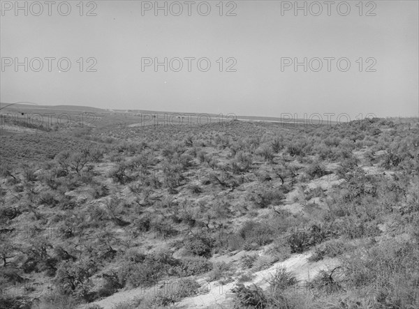 Landscape showing raw land. Nyssa Heights, Malheur County, Oregon.