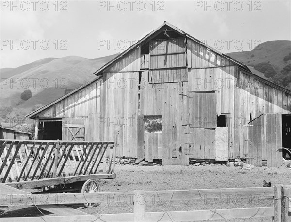 Farmyard of small Italian farmer. Santa Clara County, California.