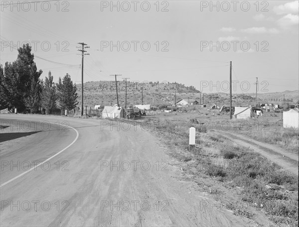 Squatter camp before season opens. Malin, Klamath County, Oregon.