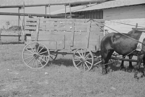 At the cotton gin. Cotton gin and wagons. Hale County, Alabama.