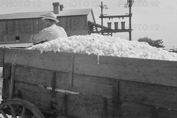 At the cotton gin. Cotton gin and wagons. Hale County, Alabama.