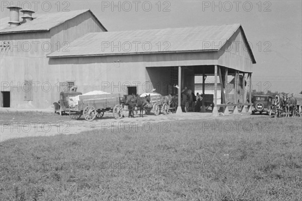 At the cotton gin. Cotton gin and wagons. Hale County, Alabama.