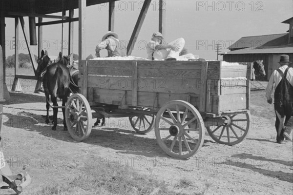 At the cotton gin. Cotton gin and wagons. Hale County, Alabama.