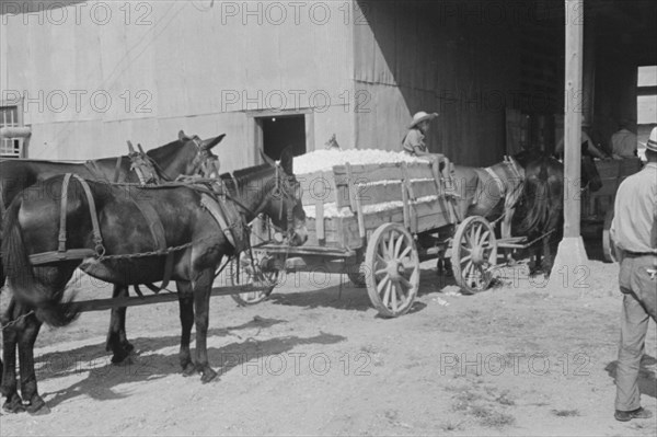 At the cotton gin. Cotton gin and wagons. Hale County, Alabama.