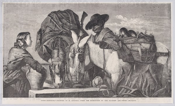 Asses Drinking, from "Illustrated London News", March 13, 1858.