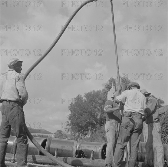 Daytona Beach, Florida. Negro laborers laying sewer pipeline.