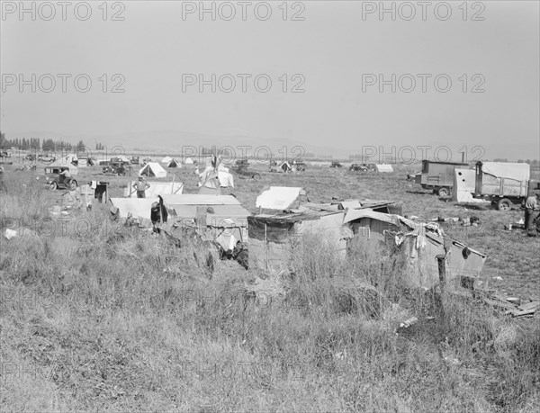 Potato pickers' camp. Tulelake, Siskiyou County, California.