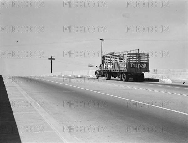 Between Tulare and Fresno. Overpass on U.S. 99. California.