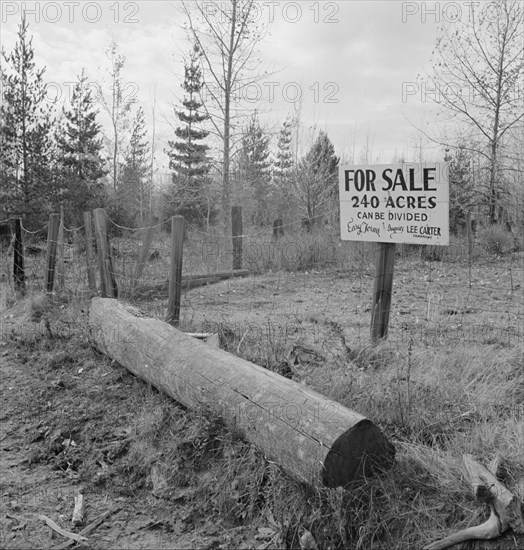 Sign on back road in cut-over area. Boundary County, Idaho.