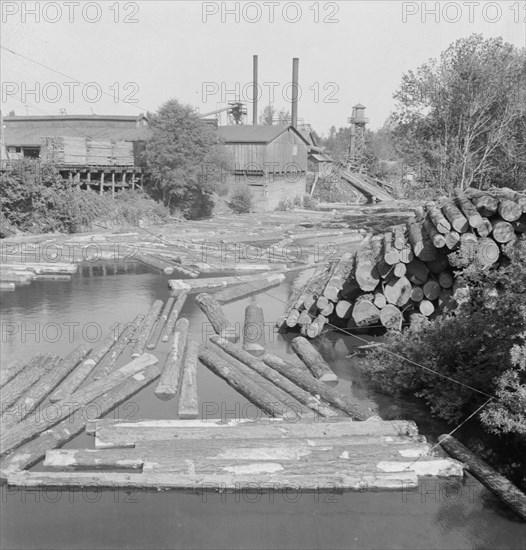 Small sawmill on the Marys River near Corvallis, Oregon.