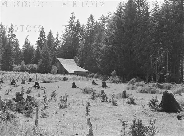 Western Washington stock farm. Washington, Lewis County.