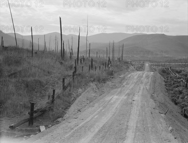 Shows character of cut-over area. Bonner County, Idaho.