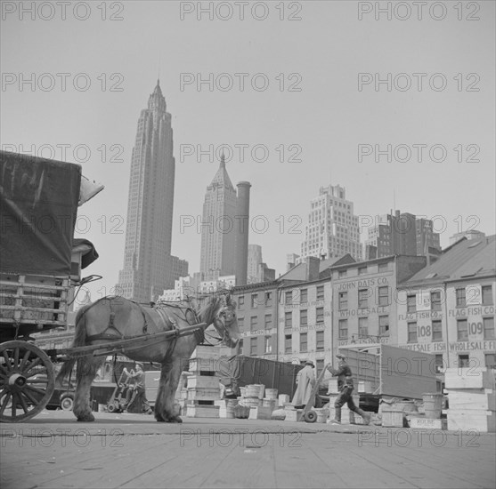 New York, New York. A scene at the Fulton fish market.