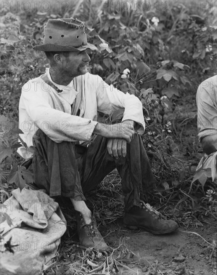 Bud Fields in his cotton patch. Hale County, Alabama.