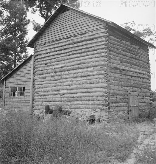 Tobacco barn and shed. Person County, North Carolina.