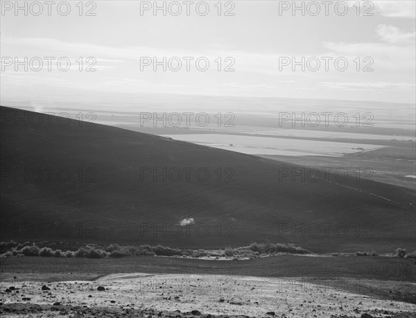 Umatilla Valley wheat farms. Umatilla County, Oregon.