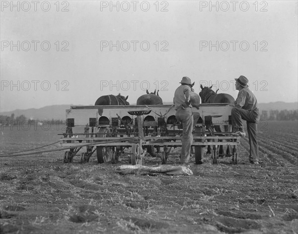 Farmers talking politics. Potato fields. California.