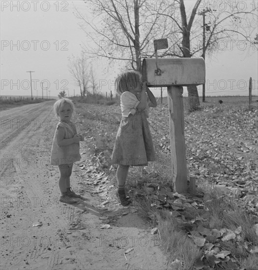 Rural children at R.F.D. box, near Fruitland, Idaho.