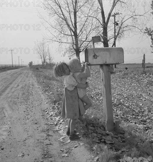 Rural children at R.F.D. box, near Fruitland, Idaho.