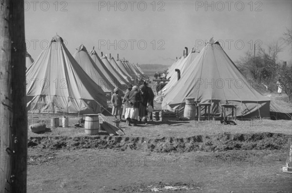 Flood refugee encampment at Forrest City, Arkansas.