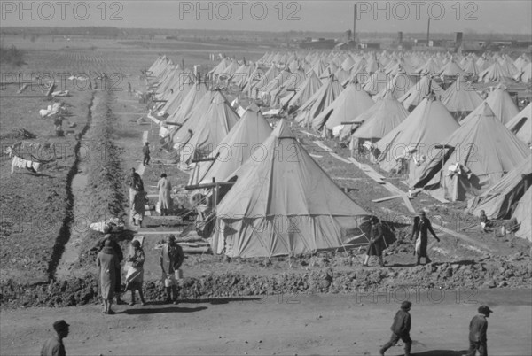 Flood refugee encampment at Forrest City, Arkansas.