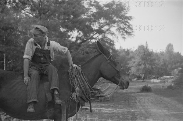 Floyd Burroughs, on mule, Hale County, Alabama.