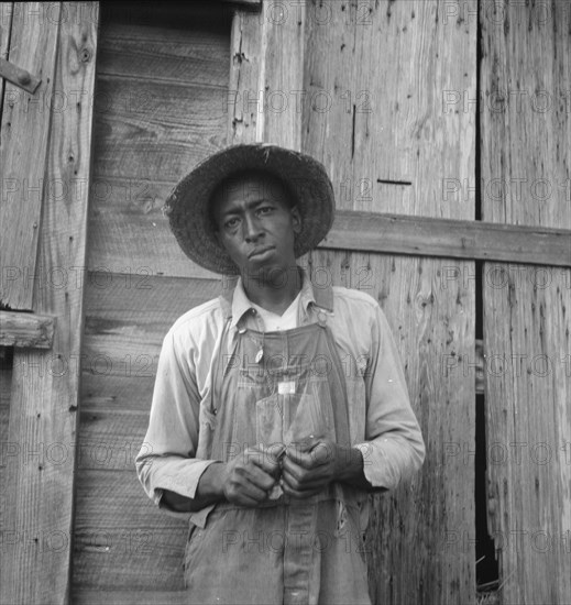 Tenant farmer. Chatham County, North Carolina.