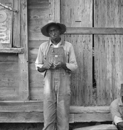 Tenant farmer. Chatham County, North Carolina.