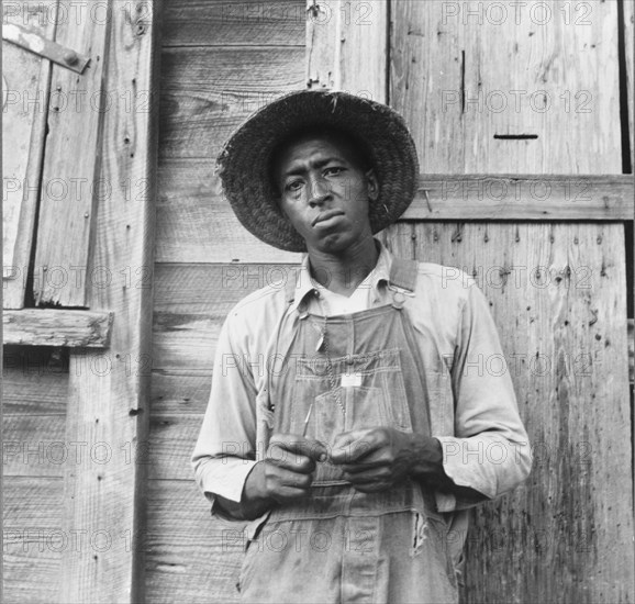 Tenant farmer. Chatham County, North Carolina.