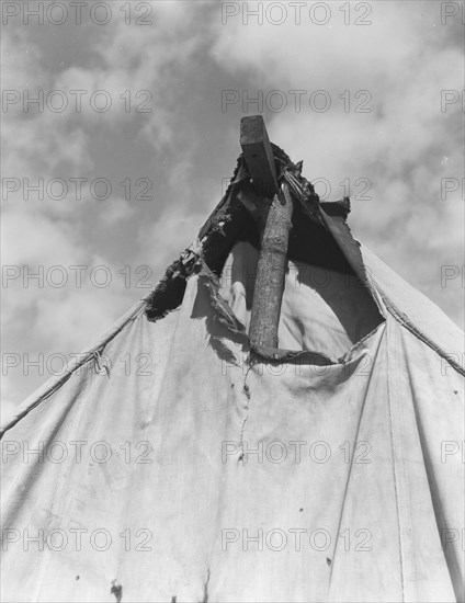 Pea picker's tent near San Jose, California].