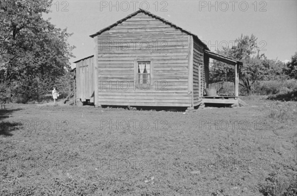 Bud Fields' home, Hale County, Alabama.