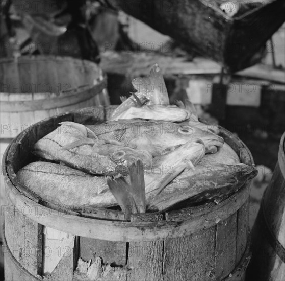 New York, New York. Barrels of codfish.