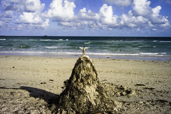 Lummus Park, Miami Beach, Miami, FL.